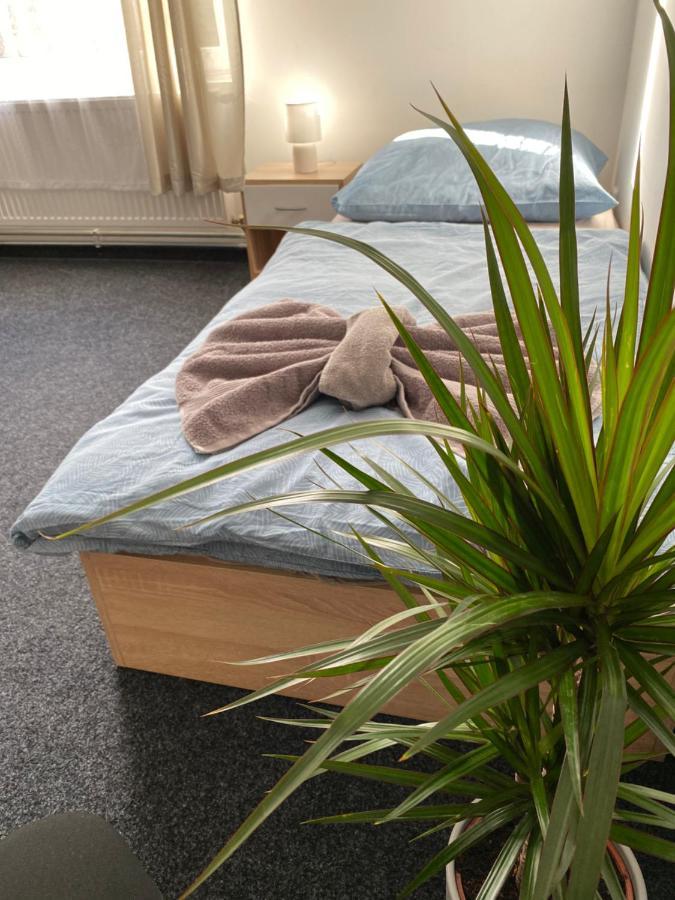 Apartmany Plzen Zborovska 22 A Bagian luar foto