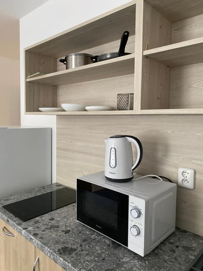 Apartmany Plzen Zborovska 22 A Bagian luar foto